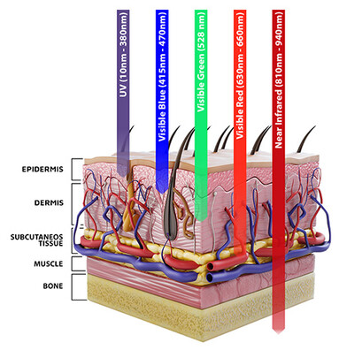 TheraLight light beds utilize red and near-infrared light for a full-body photobiomodulation experience that exposes the entire body to healing red light that jumpstarts natural healing processes and fights free radicals causing oxidative stress. [1]. Recently, stem cells have shown increased proliferation when irradiated with low-level laser therapy or Photobiomodulation Therapy (PBMT), which induces the activation of intracellular and extracellular chromophores and the initiation of cellular signaling. The findings of this review suggest that PBMT-based regenerative medicine could be a useful tool for future advances in tissue engineering and cell therapy. [19] 